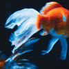 すみだ水族館