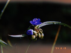 梅雨の出来事