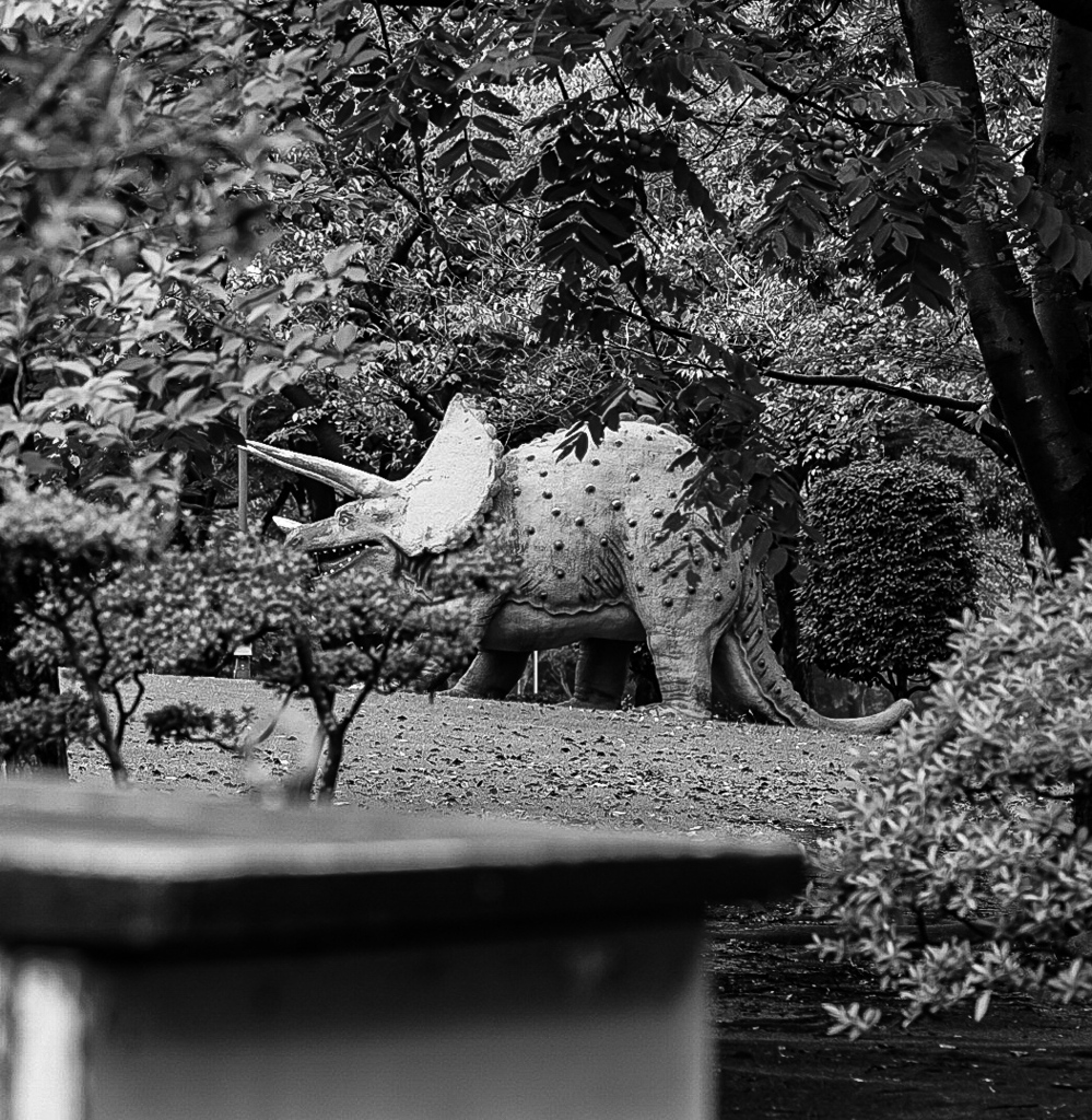 公園散歩