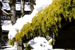 寂光院
