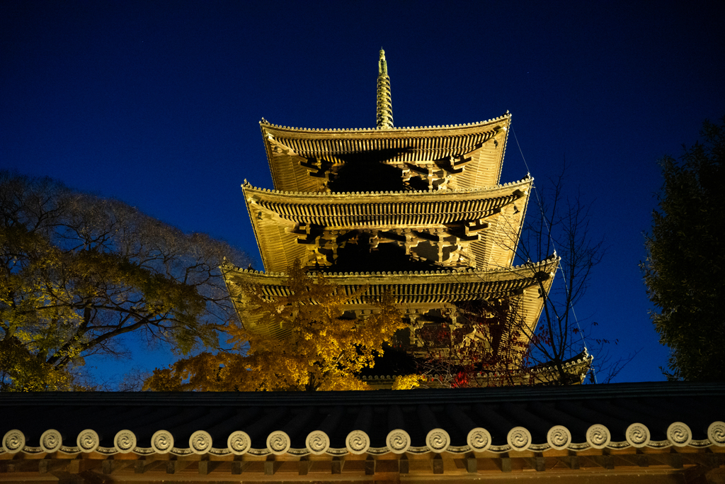 東寺