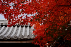 永観堂