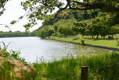 春から夏へ万緑の公園