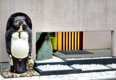 いらっしゃい(狸)