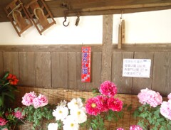 ぼたん園(1)