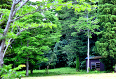 森の道具小屋