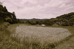 田舎の風景