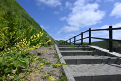 空へと続きそうな道