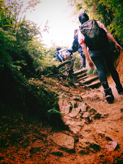 HIKERS
