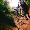 HIKERS