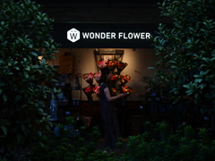 WONDER FLOWER