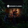 WONDER FLOWER