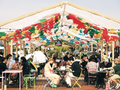 FES