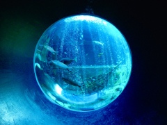 水中世界