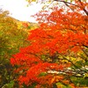 奥只見湖の紅葉