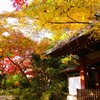晩秋の本土寺