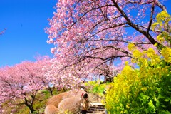待ちに待った春