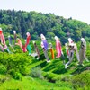 新緑の里山