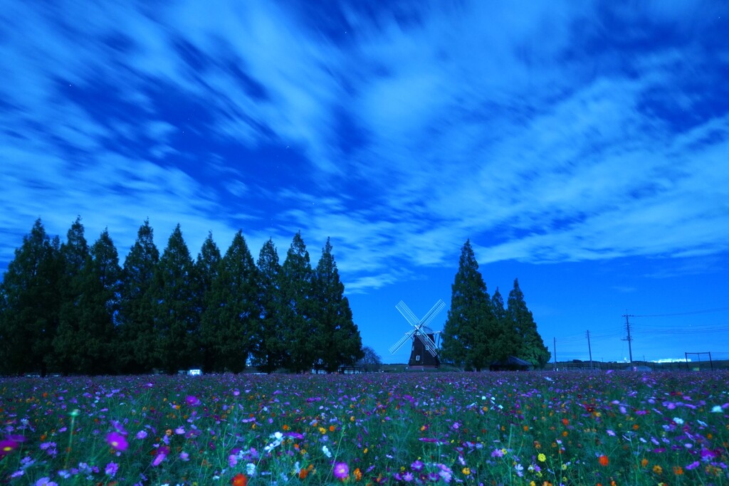 夜明け前