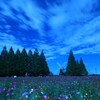 夜明け前