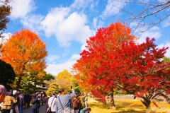 皇居乾通り