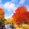 皇居乾通り