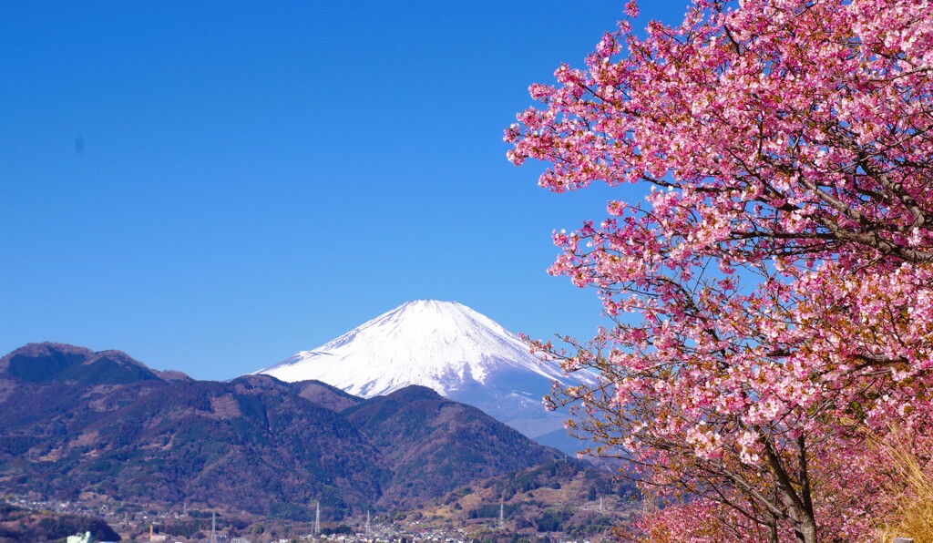 晴天の朝