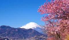 晴天の朝