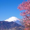 晴天の朝