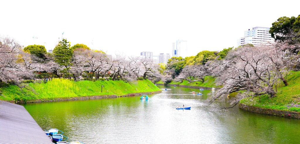 花曇りの千鳥ヶ淵