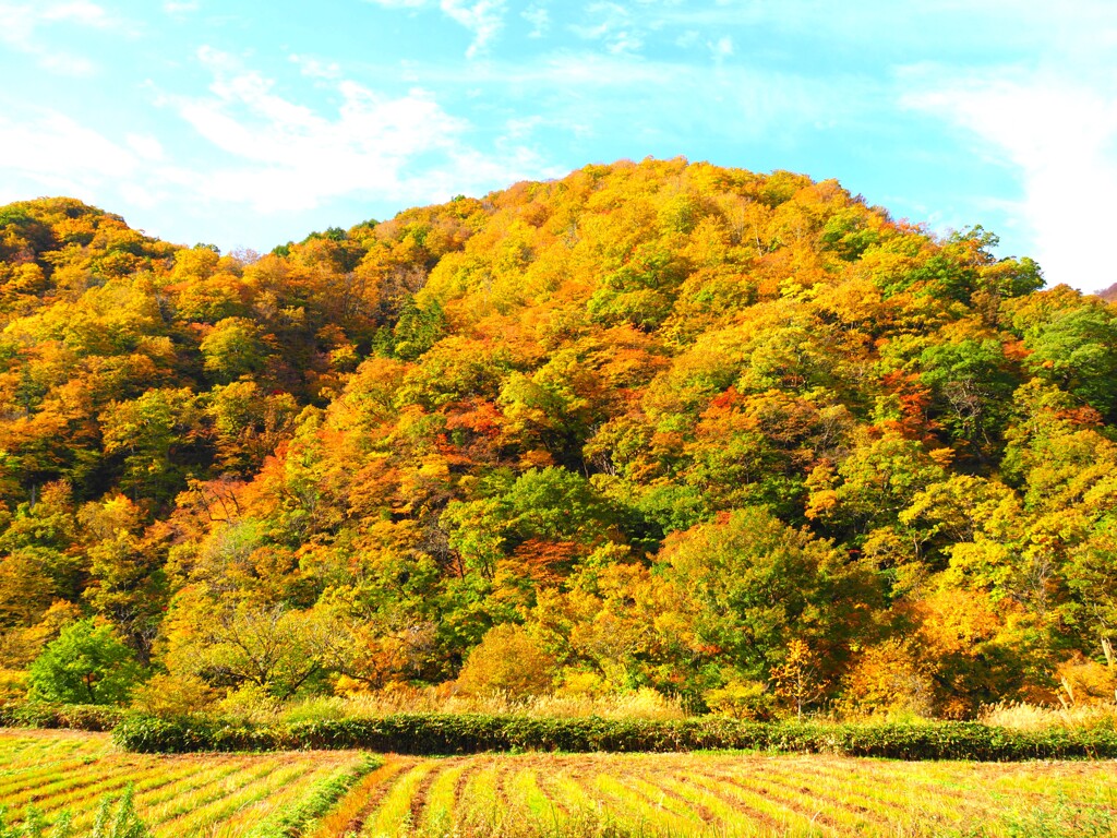 檜枝岐の紅葉