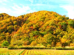 檜枝岐の紅葉