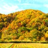 檜枝岐の紅葉