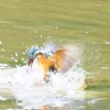 捕まえたか?