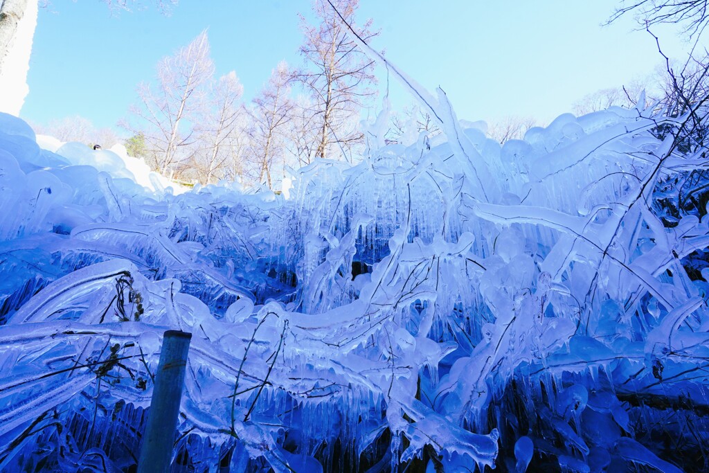 氷の景色
