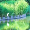 水辺公園