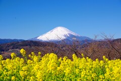 早春、快晴の朝