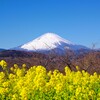 早春、快晴の朝