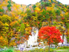 屛風岩紅葉