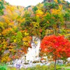 屛風岩紅葉