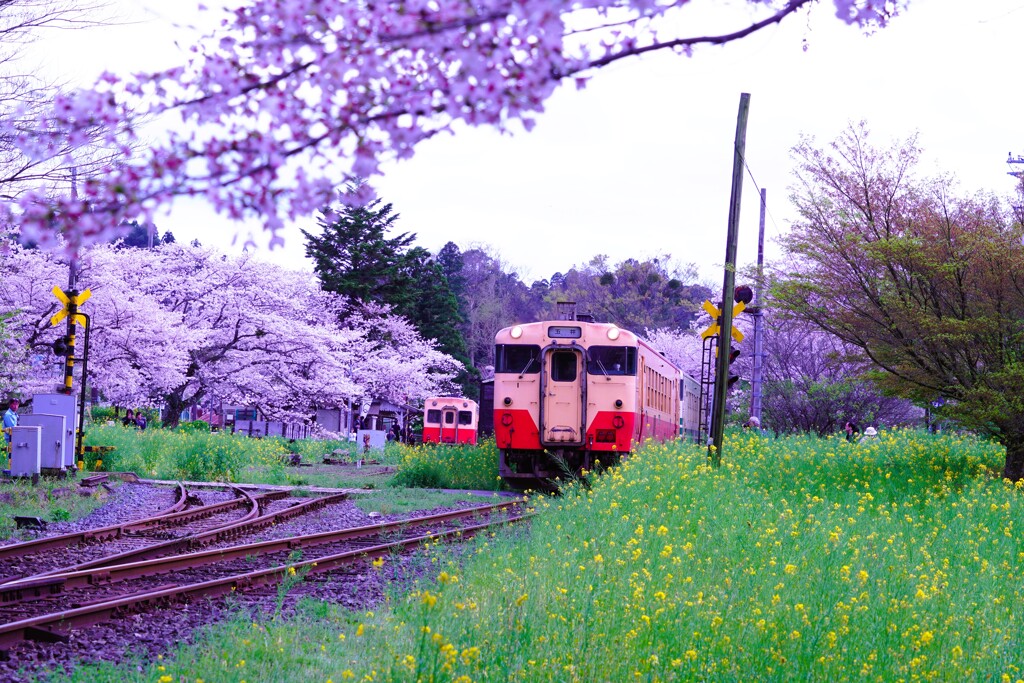 ローカル線に乗って