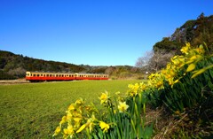 里山の春、ローカル線に乗って
