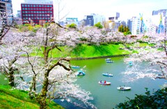 千鳥ヶ淵