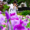いい画撮れました