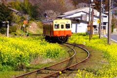 里山の春、ローカル線に乗って