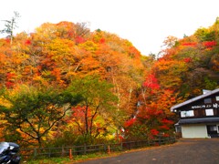 日塩もみじライン