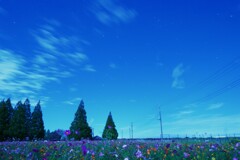 夜明け前
