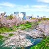 千鳥ヶ淵