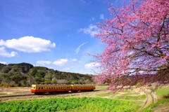 里山の春
