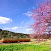 里山の春